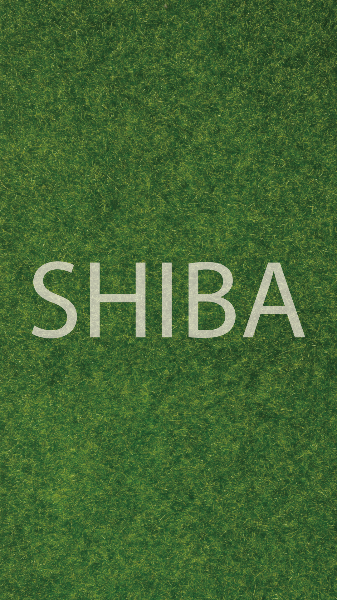 SHIBA(本製品は生産終了しております)
